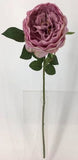 FL13732 DAVID AUSTIN ROSE (NAT),26"