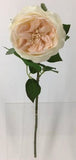 FL13733 DAVID AUSTIN ROSE (NAT),20"