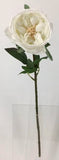 FL13733 DAVID AUSTIN ROSE (NAT),20"