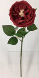FL13733 DAVID AUSTIN ROSE (NAT),20"
