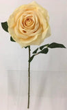 FL13734 OPEN ROSE (NAT),22"