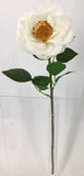 FL13735 HYBRID TEA ROSE (NAT),23"