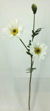 FL13738 POPPY SPRAYx2F1B,35"