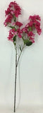 FL13739 BOUGAINVILLEA SPRAYx2,42"