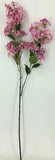 FL13739 BOUGAINVILLEA SPRAYx2,42"