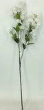 FL13739 BOUGAINVILLEA SPRAYx2,42"