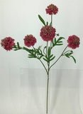 FL13740 SCABIOSA SPRAYx5F (NAT),28"