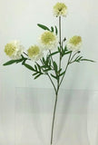 FL13740 SCABIOSA SPRAYx5F (NAT),28"