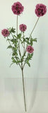 FL13741 SCABIOSA PODS SPRAYx5,38"