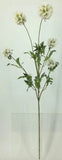 FL13741 SCABIOSA PODS SPRAYx5,38"
