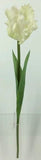 FL13744 PARROT TULIP,26"
