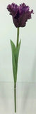 FL13744 PARROT TULIP,26"