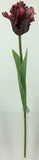 FL13744 PARROT TULIP,26"