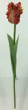 FL13744 PARROT TULIP,26"