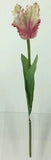 FL13744 PARROT TULIP,26"