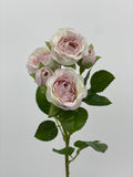 FL13752 MINI ROSE SPRAYx5F 25"