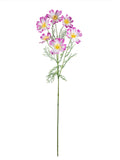 FL13761 COSMO SPRAYx6 30.5"