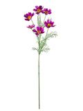 FL13761 COSMO SPRAYx6 30.5"