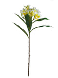 FL13766 PLUMERIA SPRAY 29.5"
