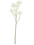 FL13770 XANTHIUM SPRAYx6 32"