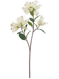 FL13772 PINCUSHION PROTEA SPRAYx3F 25.5"