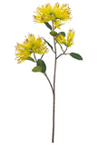 FL13772 PINCUSHION PROTEA SPRAYx3F 25.5"