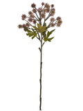 FL13773 SANICULA SPRAY 20"