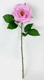 FL13811 GARDEN ROSE SPRAY (NAT) 18"