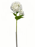 FL13821 HYDRANGEA SPRAYx2 (NAT) 33"