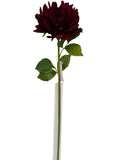 FL13823 DAHLIA (NAT) 24"