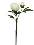 FL13824 PEONY SPRAYx1F1B 25.5"