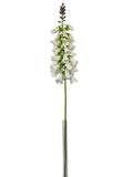 FL13829 FOXGLOVE 40.5"