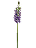 FL13829 FOXGLOVE 40.5"