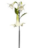 FL13836 TRUMPET LILY SPRAYx3F 51"