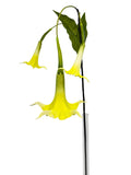 FL13836 TRUMPET LILY SPRAYx3F 51"