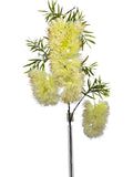 FL13838 BOTTLEBRUSH SPRAYx3F 31"