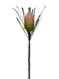 FL13839 BANKSIA SPRAY 29"