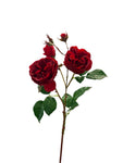 FN20051  CABBAGE ROSE SPRAYx2F4B (NAT) 23.5"