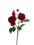 FN20051  CABBAGE ROSE SPRAYx2F4B (NAT) 23.5"