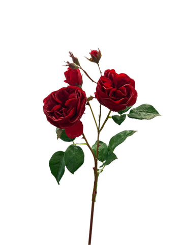 FN20051  CABBAGE ROSE SPRAYx2F4B (NAT) 23.5"
