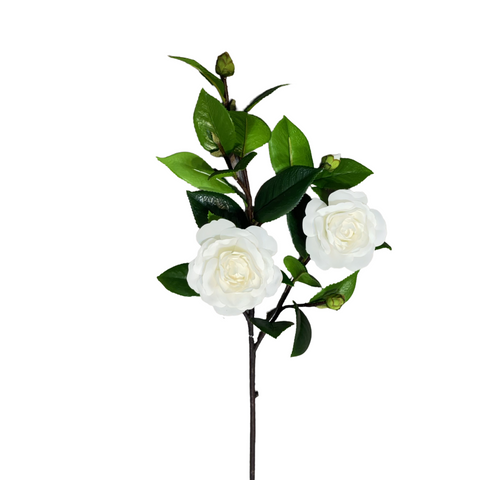 FN20054  CAMELLIA SPRAYx2F3B (NAT) 27"