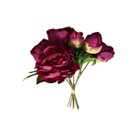 FN20058  PEONY BQTx6 (NAT) 14"