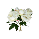FN20058  PEONY BQTx6 (NAT) 14"