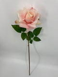 FN20071 ROSE (NAT)  30"