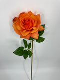 FN20071 ROSE (NAT)  30"