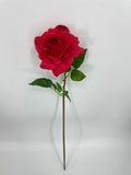 FN20071 ROSE (NAT)  30"