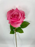 FN20072 ROSE BUD (NAT)  30"