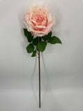 FN20073 OPEN ROSE (NAT)  29"