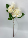 FN20074 ROSE SPRAYx1F2B (NAT)  22"