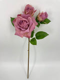 FN20074 ROSE SPRAYx1F2B (NAT)  22"